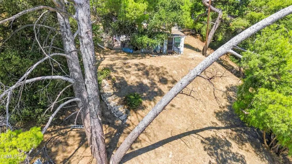 12211 Forest Trail Sylmar, CA 91342