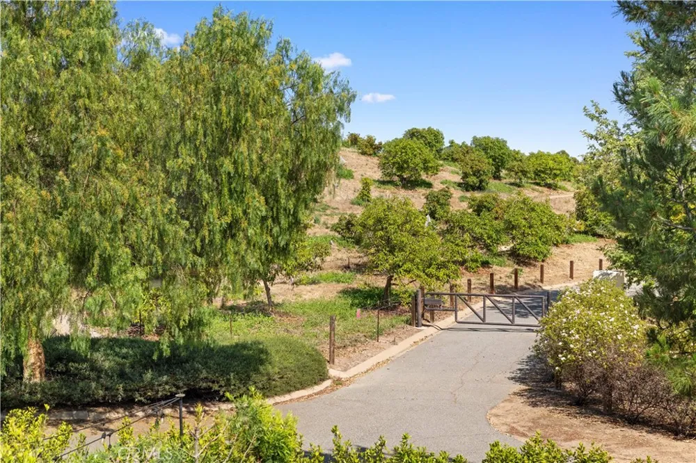 54 Painted Cameo Irvine, CA 92602