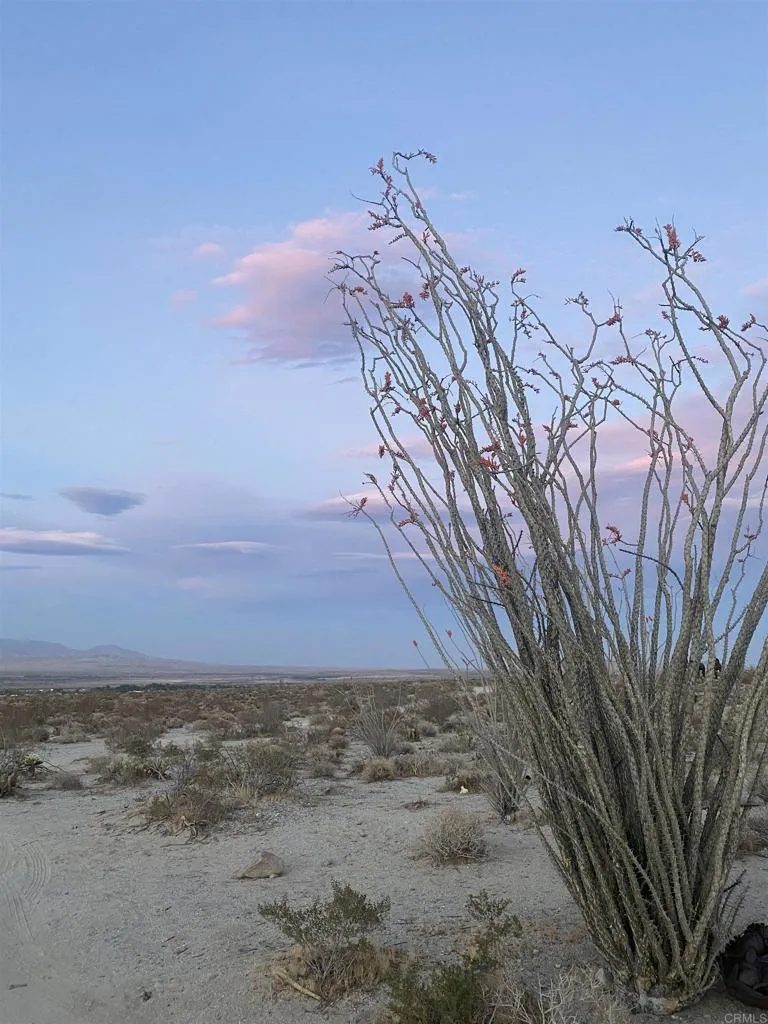 Rango Way Borrego Springs, CA 92004