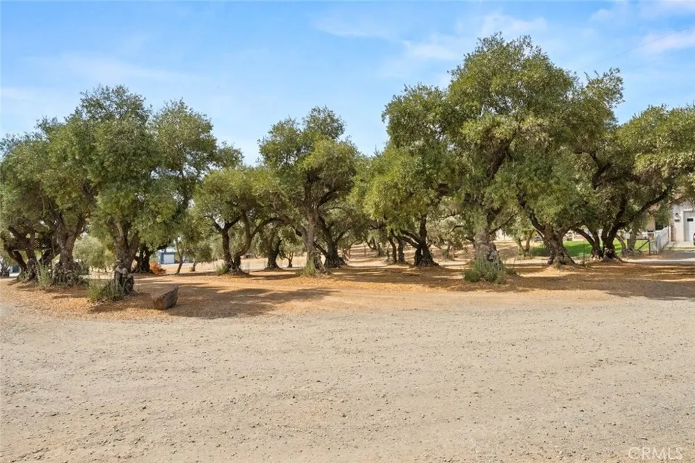 23551 Carona Avenue Corning, CA 96021