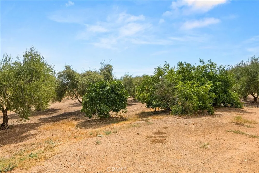 23551 Carona Avenue Corning, CA 96021