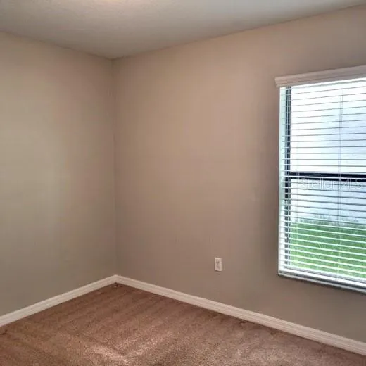 10016 NEWMINSTER LOOP Ruskin, FL 33573