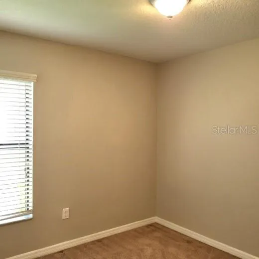 10016 NEWMINSTER LOOP Ruskin, FL 33573