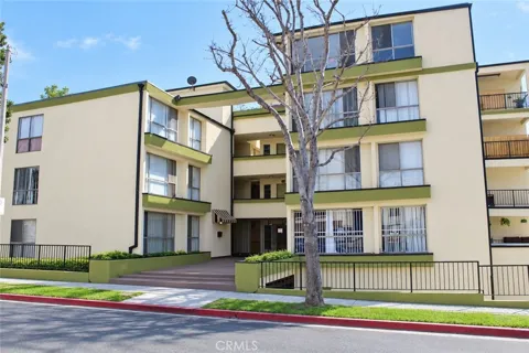 500 Evergreen #307