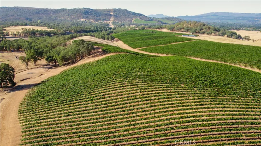 895 State Hwy 53 Clearlake, CA 95422