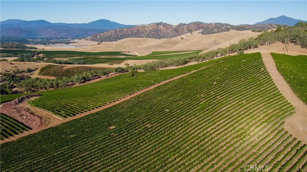 895 State Hwy 53 Clearlake, CA 95422