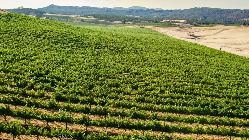 895 State Hwy 53 Clearlake, CA 95422