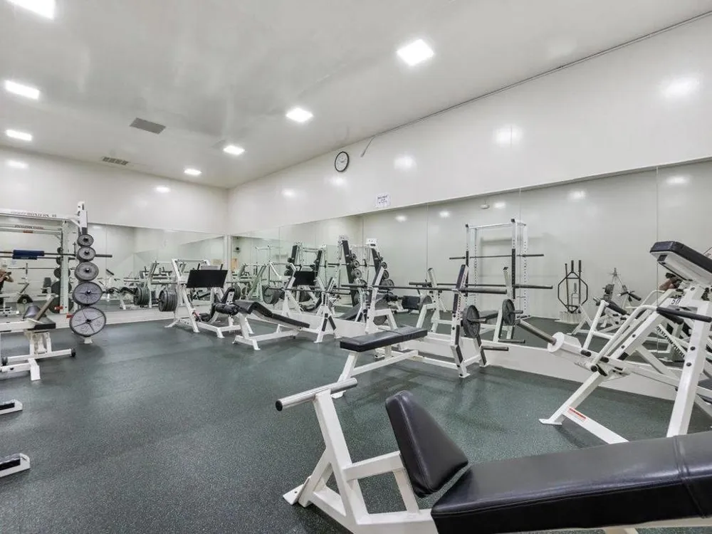847 Humboldt Street #302 San Mateo, CA 94401