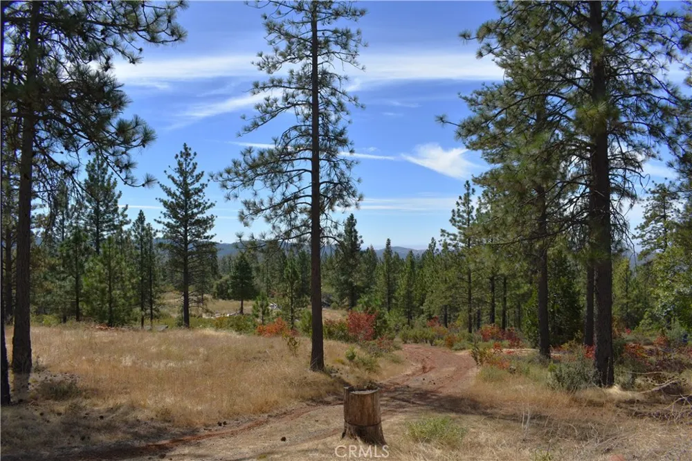 155 Black Tail Road Oroville, CA 95966