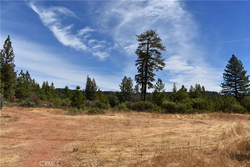 155 Black Tail Road Oroville, CA 95966