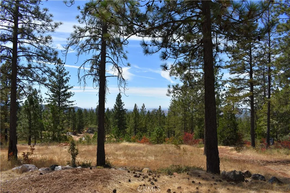 155 Black Tail Road Oroville, CA 95966