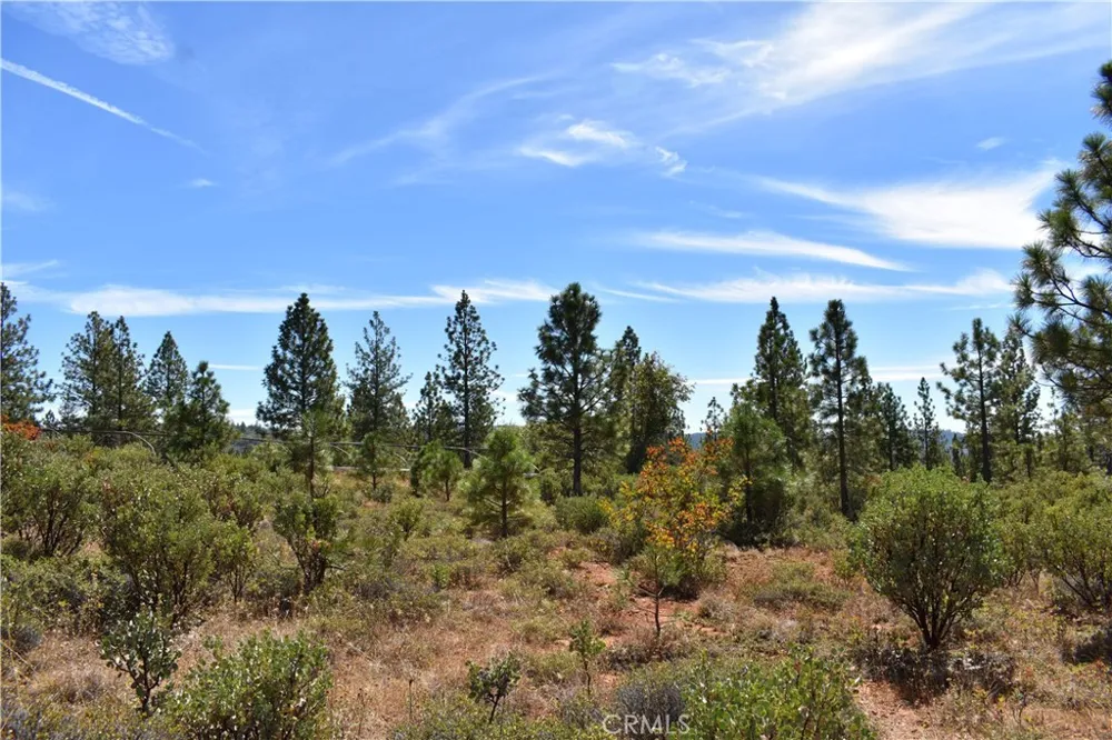 155 Black Tail Road Oroville, CA 95966