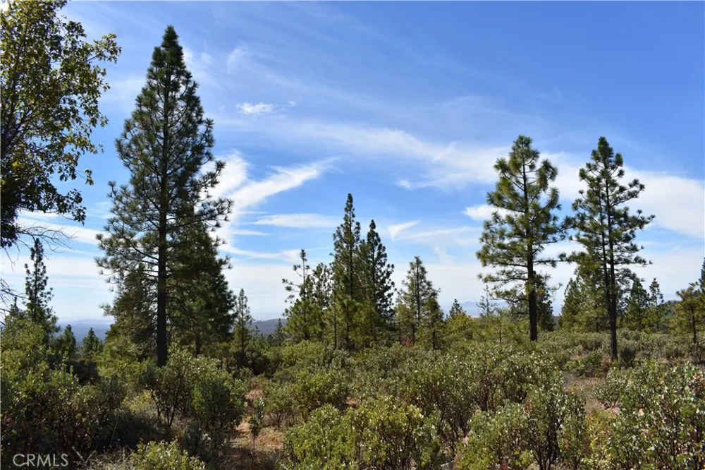 155 Black Tail Road Oroville, CA 95966