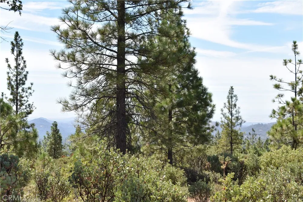 155 Black Tail Road Oroville, CA 95966