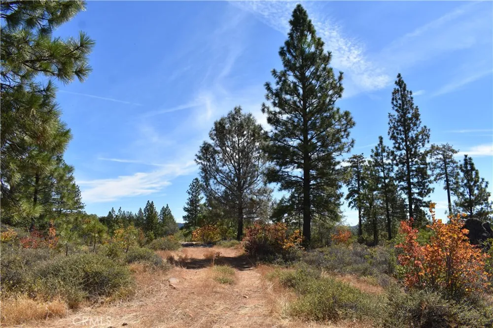 155 Black Tail Road Oroville, CA 95966