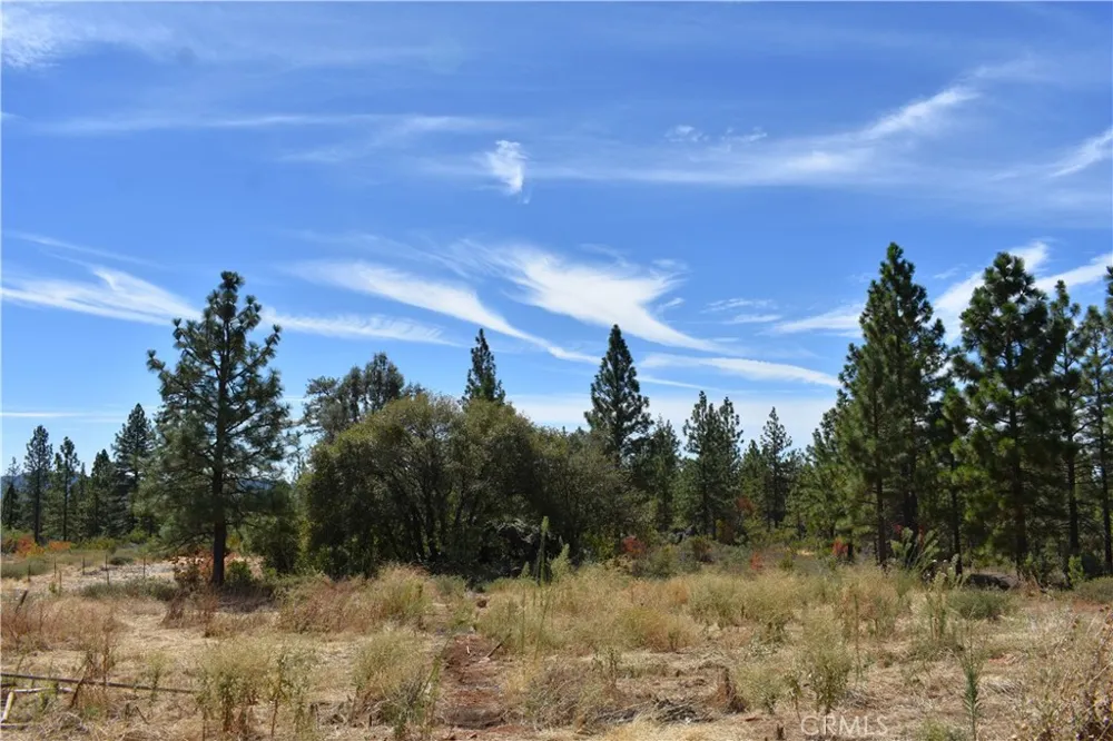 155 Black Tail Road Oroville, CA 95966