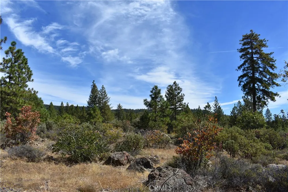 155 Black Tail Road Oroville, CA 95966