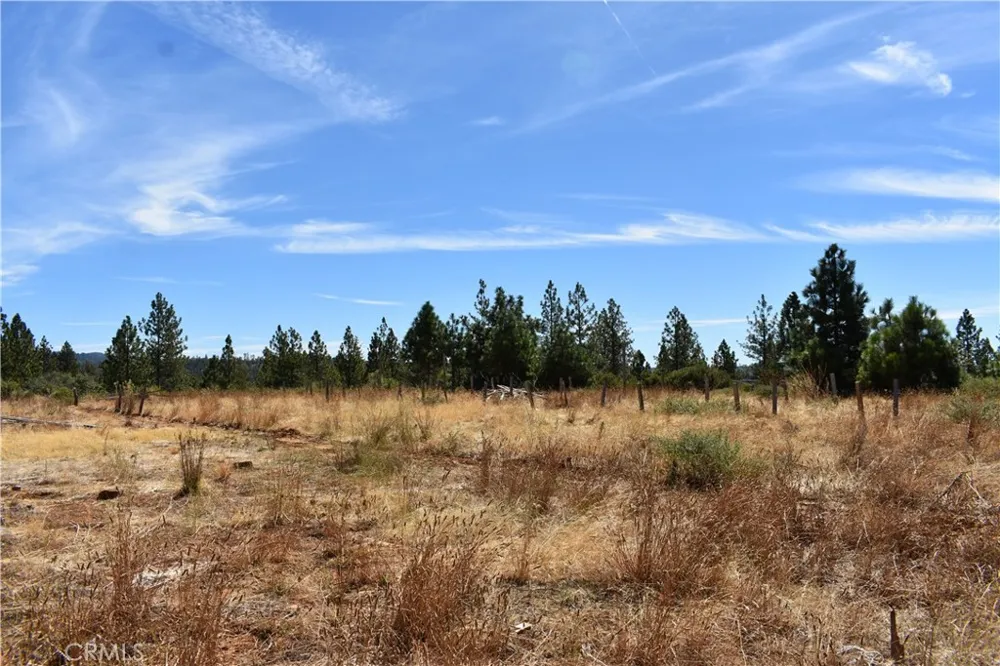 155 Black Tail Road Oroville, CA 95966