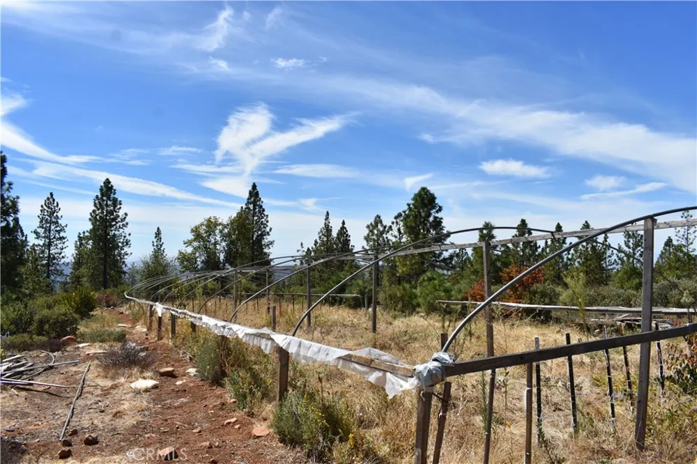 155 Black Tail Road Oroville, CA 95966