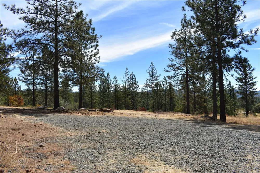 155 Black Tail Road Oroville, CA 95966