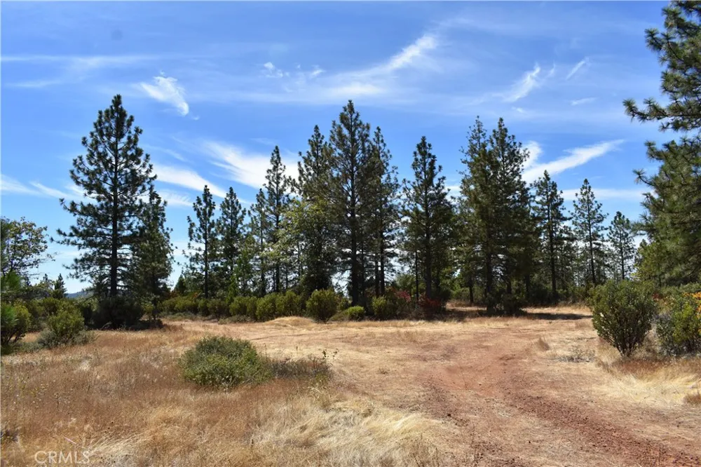 155 Black Tail Road Oroville, CA 95966