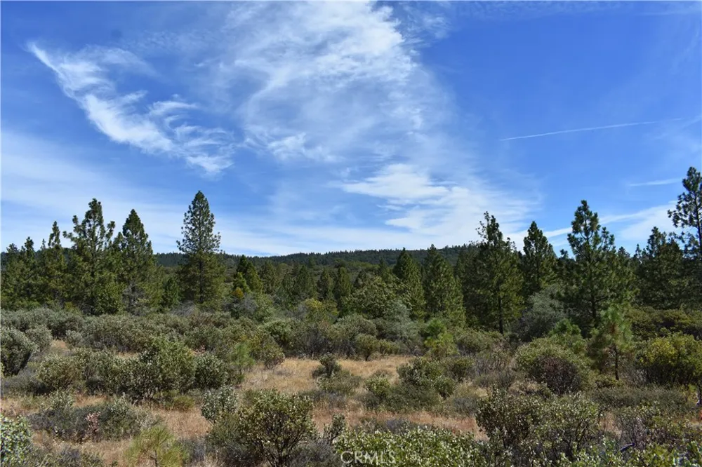 155 Black Tail Road Oroville, CA 95966