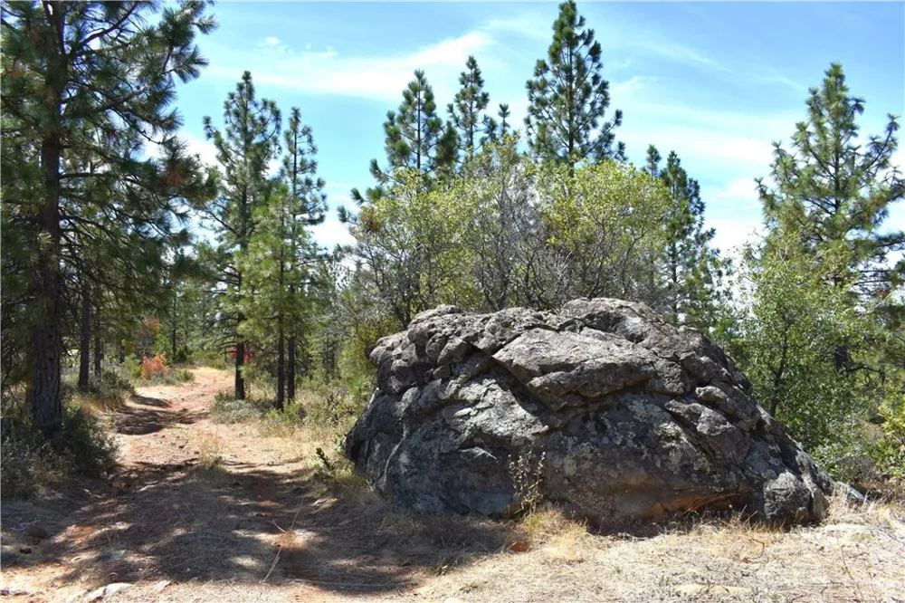 155 Black Tail Road Oroville, CA 95966