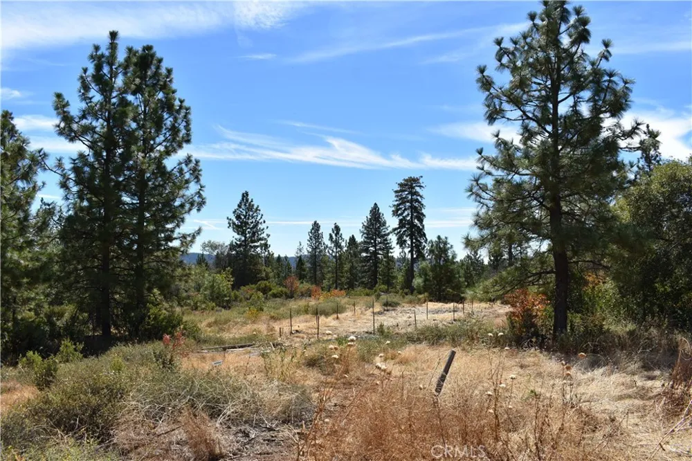 155 Black Tail Road Oroville, CA 95966