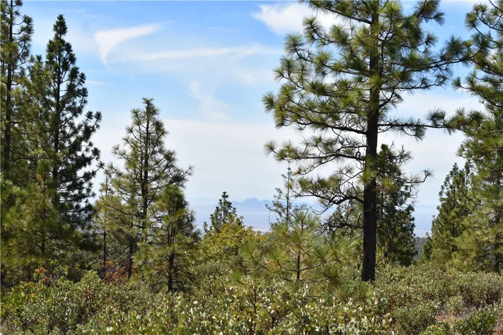 155 Black Tail Road Oroville, CA 95966