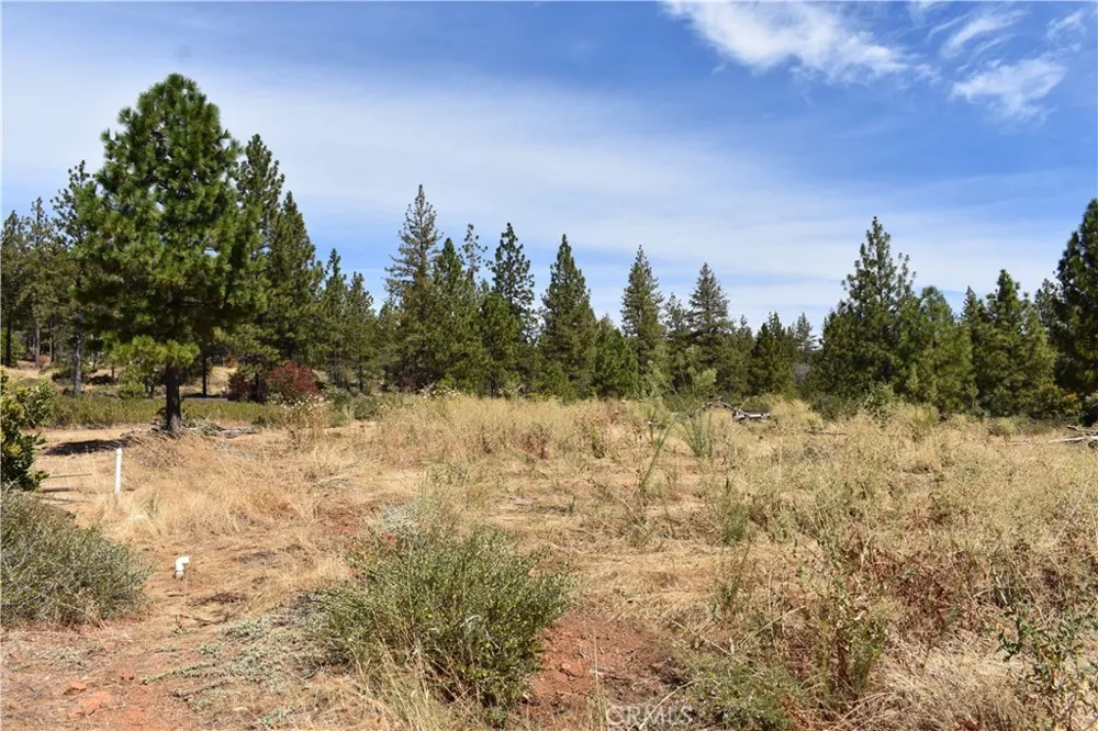 155 Black Tail Road Oroville, CA 95966