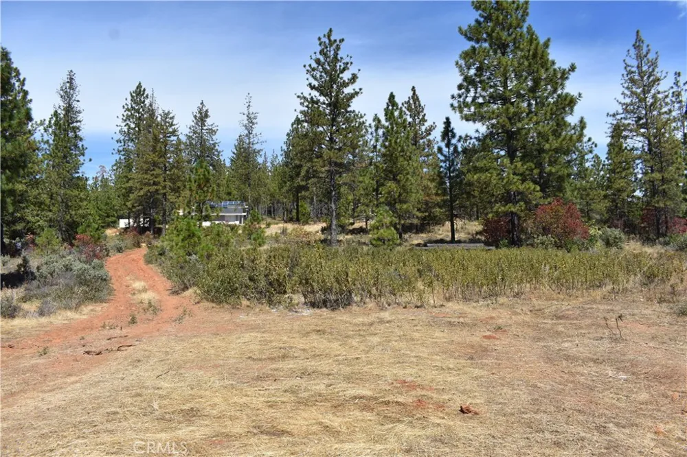 155 Black Tail Road Oroville, CA 95966