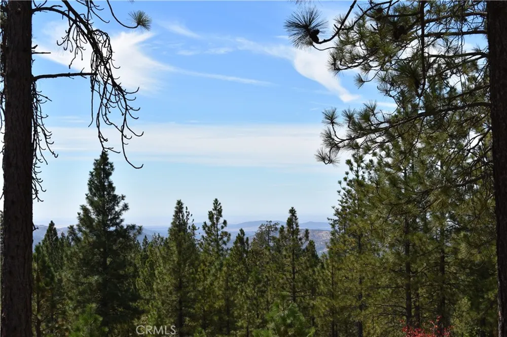 155 Black Tail Road Oroville, CA 95966