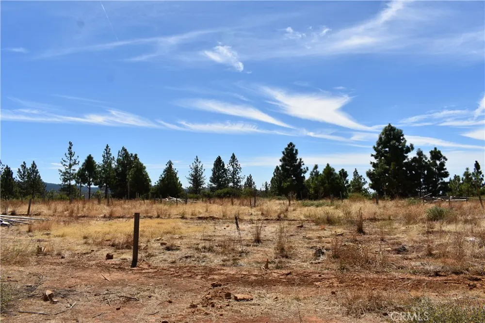 155 Black Tail Road Oroville, CA 95966