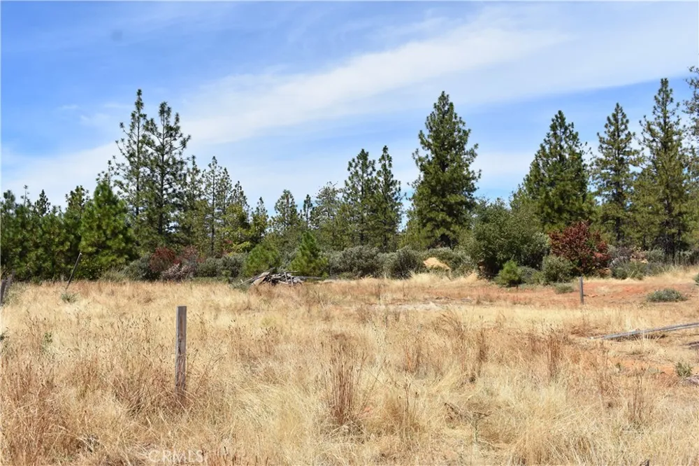 155 Black Tail Road Oroville, CA 95966