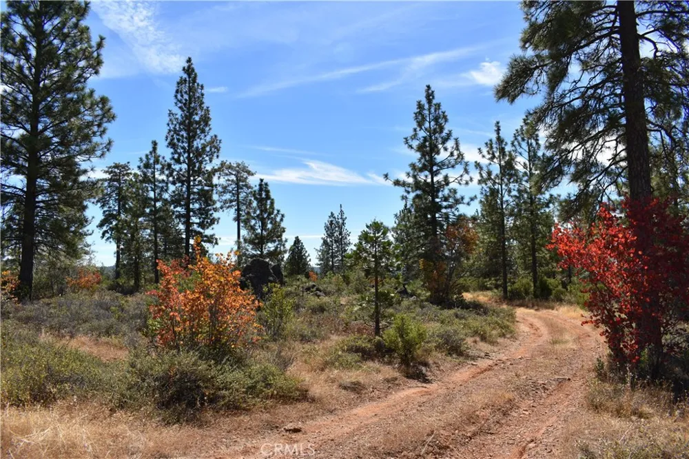 155 Black Tail Road Oroville, CA 95966