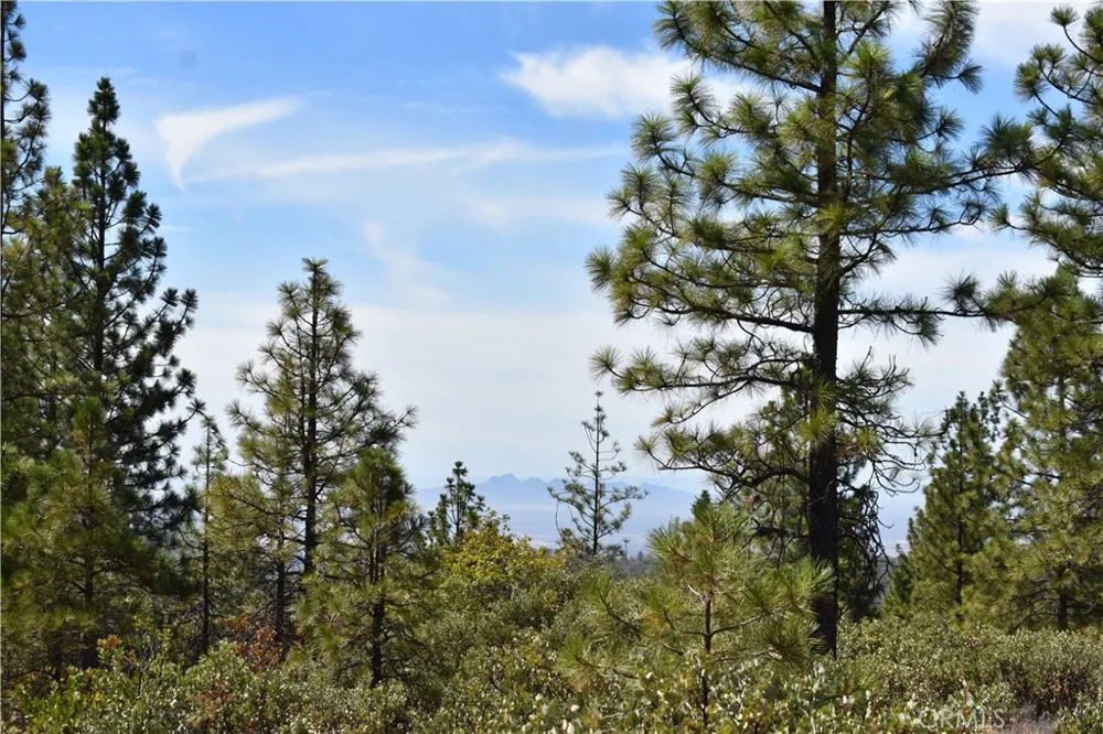 155 Black Tail Road Oroville, CA 95966
