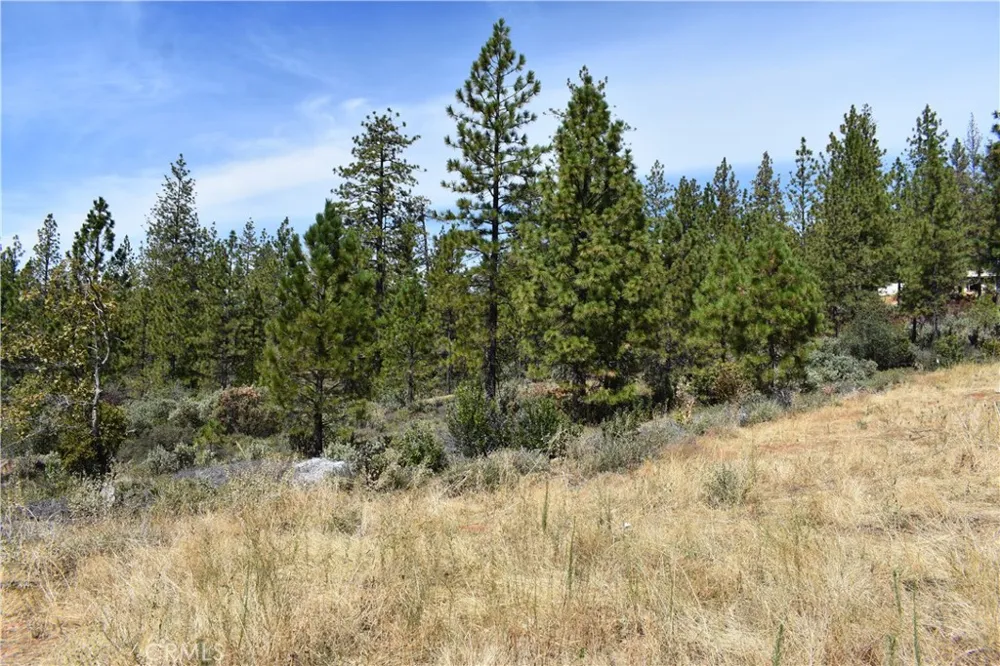 155 Black Tail Road Oroville, CA 95966