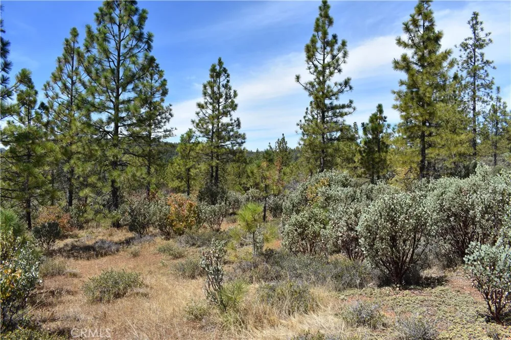 155 Black Tail Road Oroville, CA 95966
