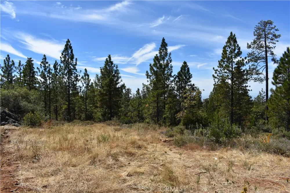 155 Black Tail Road Oroville, CA 95966