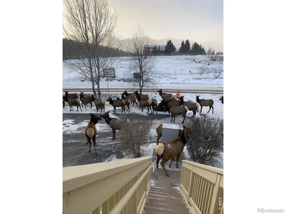 1761 Wildfire Road Estes Park, CO 80517