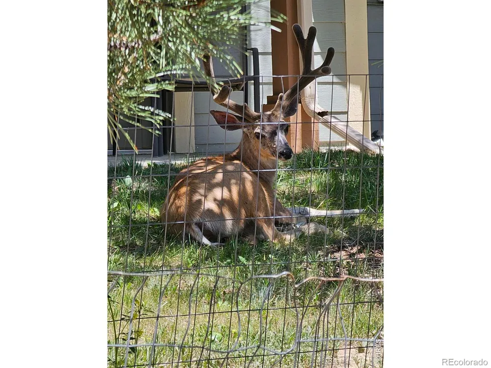 1761 Wildfire Road Estes Park, CO 80517