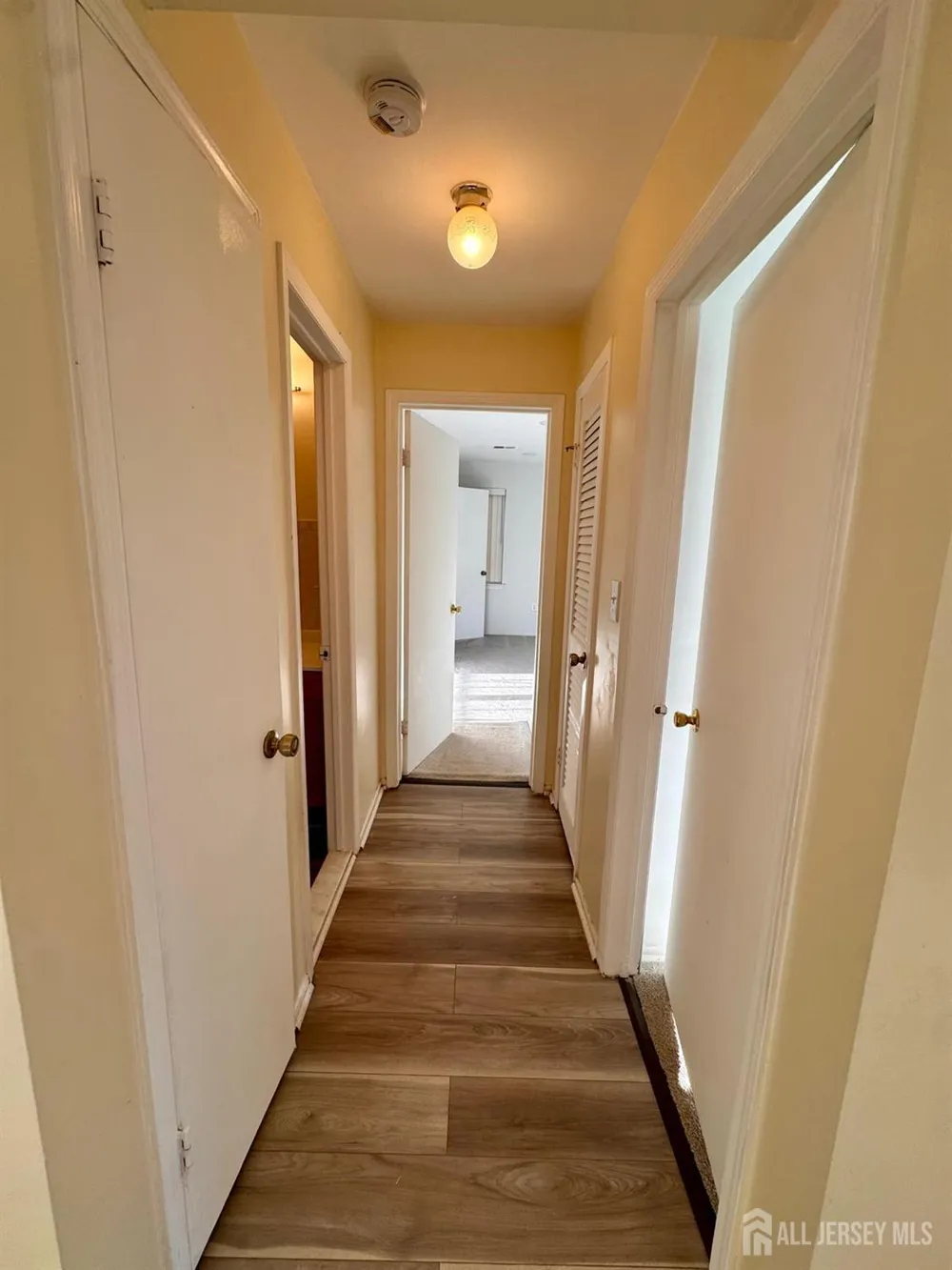 1202 Green Hollow Drive Iselin, NJ 08830