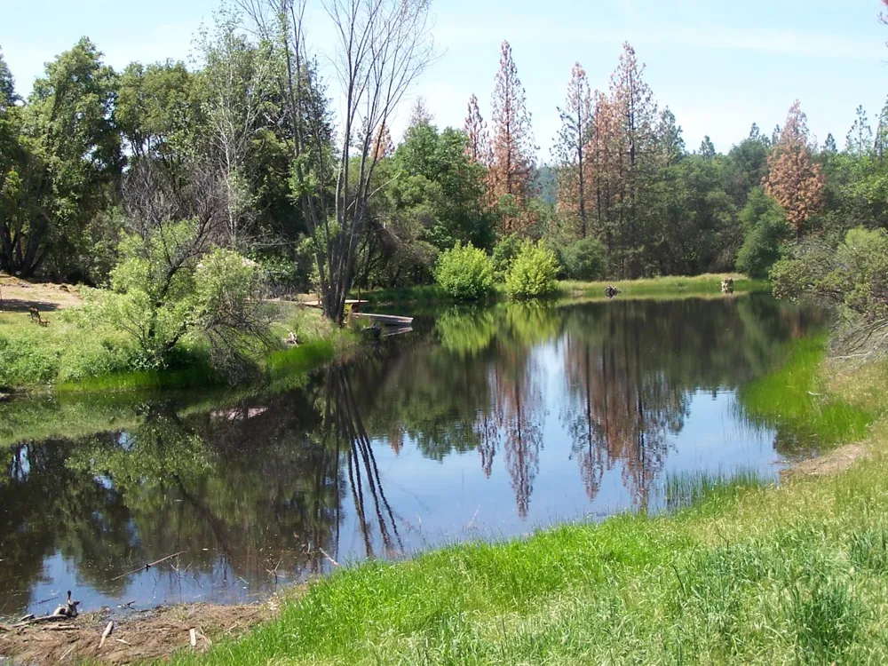 10 Rusty Ln Oakhurst, CA 93644