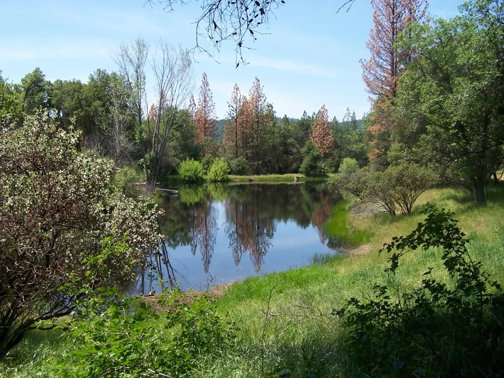 10 Rusty Ln Oakhurst, CA 93644
