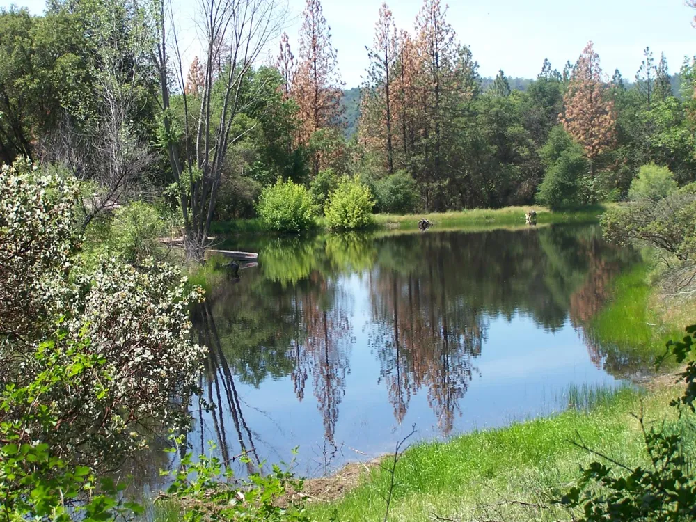 10 Rusty Ln Oakhurst, CA 93644