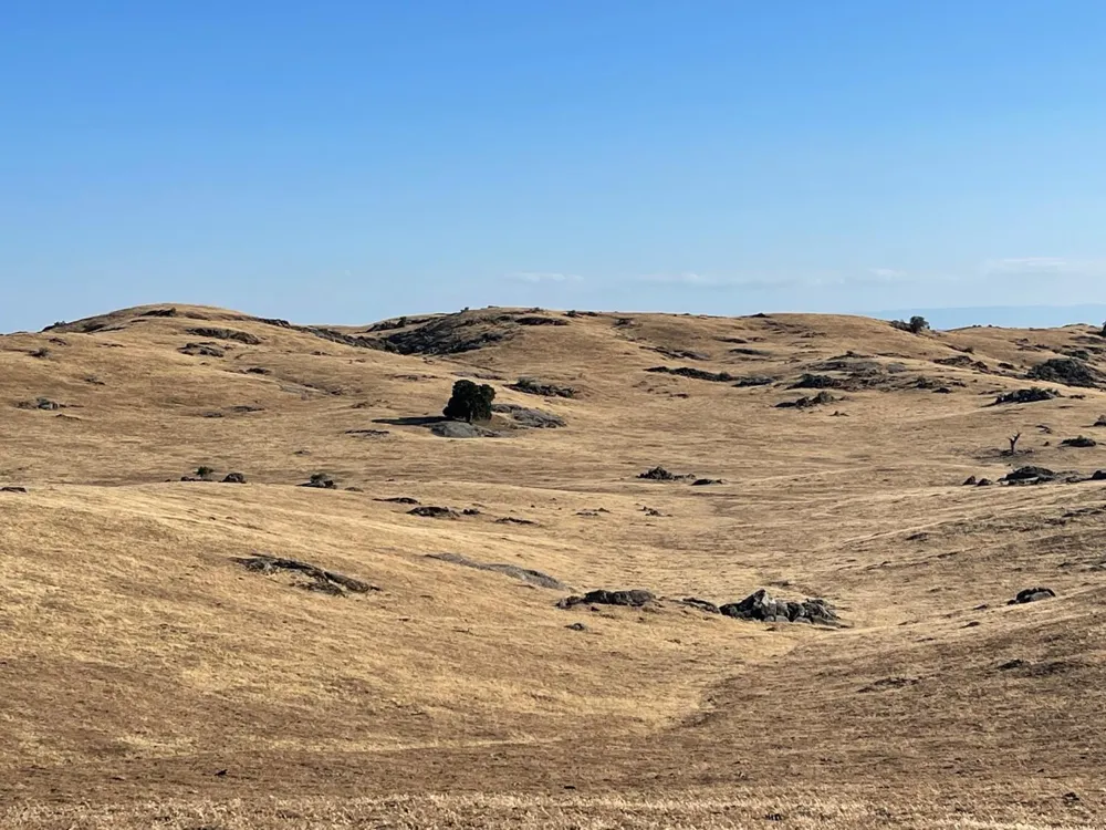 30 Hwy 41 Coarsegold, CA 93644