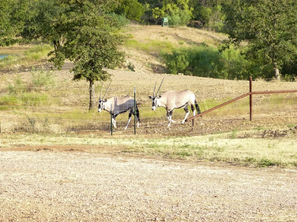 11899 County Road 108 Brownwood, TX 76801