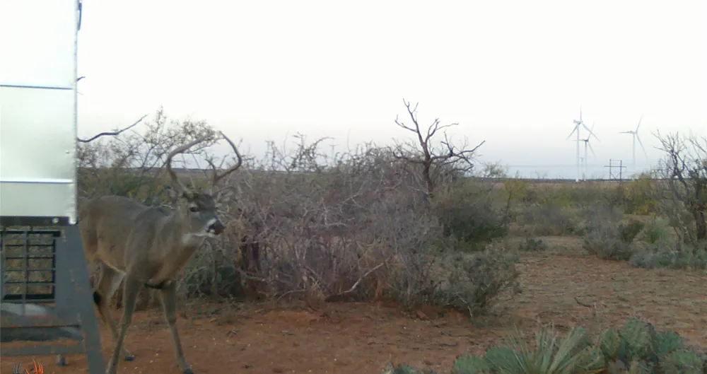 1 CR 441 Sweetwater, TX 79556