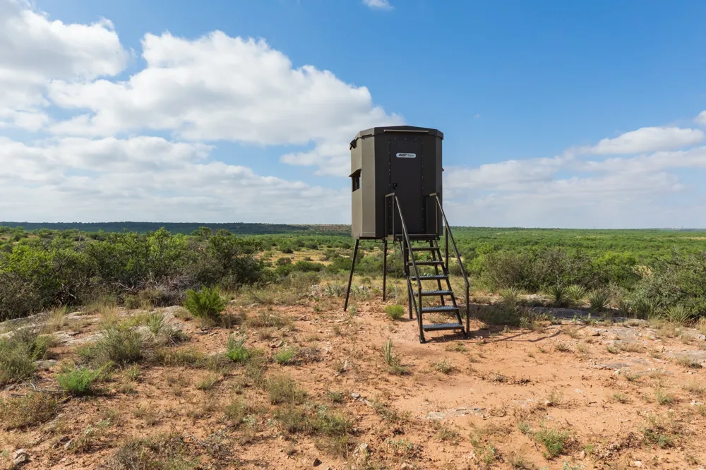 1 CR 441 Sweetwater, TX 79556