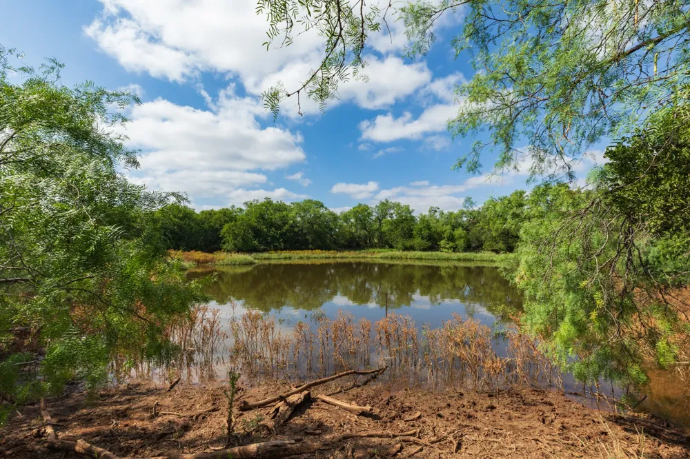 1 CR 441 Sweetwater, TX 79556